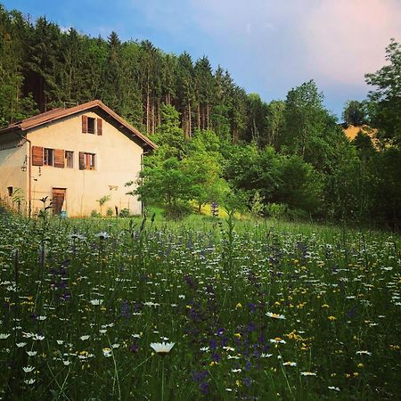 Alla Casetta B&B Cesiomaggiore Экстерьер фото