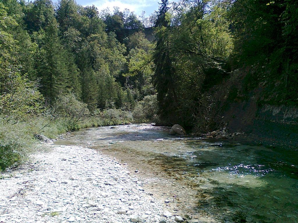 Alla Casetta B&B Cesiomaggiore Экстерьер фото